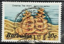 [Marine Life, Typ RO]