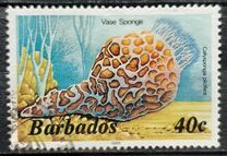 [Marine Life, Typ RR]