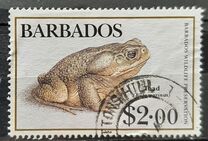 [Wildlife Preservation, タイプ VN]