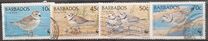 [World Wildlife Fund - Piping Plover, տեսակ AEI]