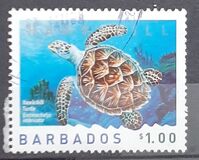 [Marine Life - Sea Turtles, type AXZ]