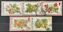 [Flowering Fruits, type TK]