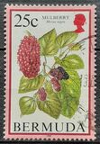 [Flowering Fruits, Tipi TV]