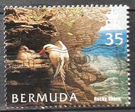 [Bermuda Habitats - Scenes from Dioramas in Bermuda Natural History Museum, type ACS]