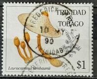 [International Stamp Exhibition "STAMP WORLD LONDON '90" - London, England - Fungi, type QS]
