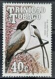 [Birds, Scrivi RJ]