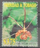 [Flowering Plants, type VL]