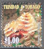 [Marine Life, type ABB]