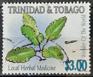 [Medicinal Plants, Scrivi AAM]