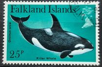 [Dolphins and Porpoises, type HU]