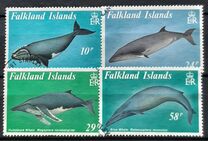 [Baleen Whales, ประเภท PP]