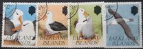 [Black-browed Albatrosses, tip QP]
