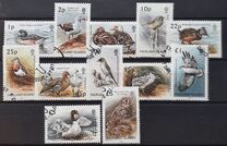 [Birds, type ADU]