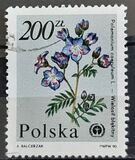 [Protected Plants and Flowers from the Botanical Gardens of Warsaw University, type DDM]