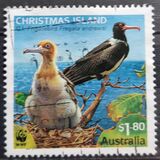 [WWF - Christmas Island Frigatebird, type YO]