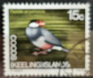 [Decimal Currency - Animals of the Cocos Islands, tegund M]
