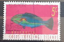 [Fish, type MS]