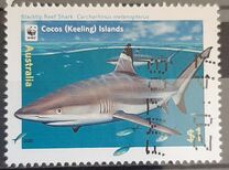 [Cocos Island Reef Sharks, 类型 PF]