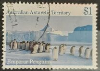 [Antarctic Scenes, тип BT]