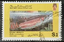 [Fish - Brunei Beauty, 类型 JX]