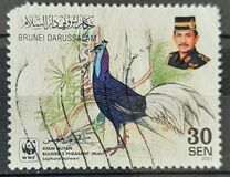 [Endangered Species - Bulwer's Pheasant, වර්ගය QQ]