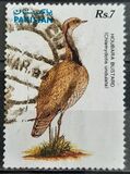[Fauna, տեսակ YS]