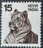 [Local Motifs, tip QO]