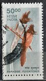 [Wildlife, type BJC]