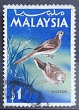 [Birds, tegund L]