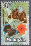 [Butterflies, प्रकार AT]