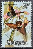 [Butterflies, प्रकार AV]