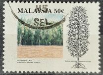 [Tropical Forests, type OS]