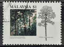 [Tropical Forests, type OT]