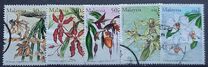 [The 17th World Orchid Conference, type AMK]