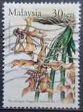 [The 17th World Orchid Conference, type AMK]