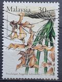 [The 17th World Orchid Conference, type AMK]