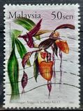 [The 17th World Orchid Conference, type AMM]