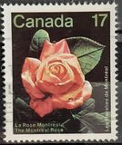 [Montreal Flower Show, Вид AAO]