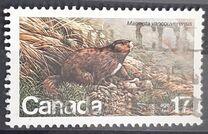 [Endangered Wildlife, type AAD]