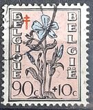 [Flowering Plants - The Struggle against Tuberculosis, type OX]