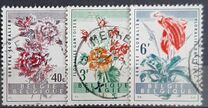 [Gent Flower Festival, type XR]
