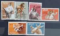 [Animals from Antwerp zoo, Tipi ZL]