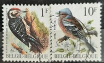 [Birds, Typ BNH]