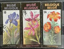 [Flower Exhibition in Gent, type BNN]