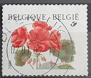 [Flower - Year "2000" Imprint, Tip CFV1]