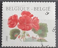 [Flower - Year "2000" Imprint, Tip CFV1]