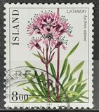 [Flowers, type ND]