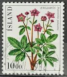 [Flowers, type NE]