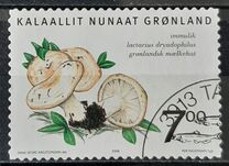 [Edible Fungi, タイプ NX]