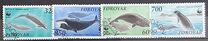 [North Atlantic Whales, Scrivi GJ]